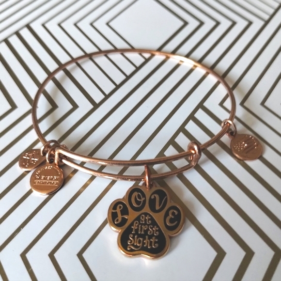 Alex and Ani Love at First Sight Pet Lover Bangle Charm Bracelet - Picture 2 of 8